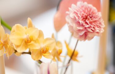 【婚活イベント】最近人気の友活って何？？