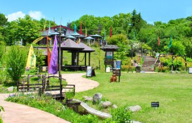 ＼2026年夏休み／那須家族旅行おすすめSPOT！